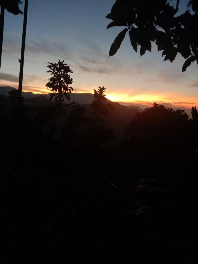 Charming View Homestay Ella Exterior foto