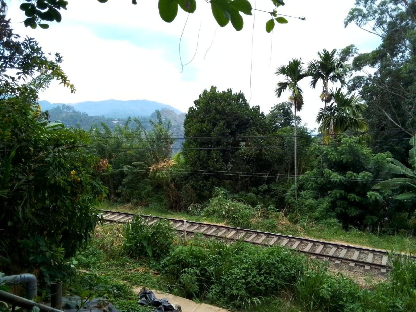Charming View Homestay Ella Exterior foto