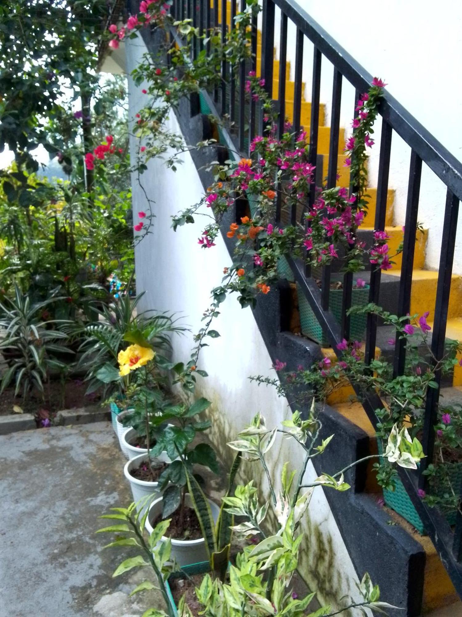 Charming View Homestay Ella Exterior foto